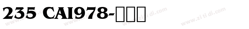 235 CAI978字体转换
